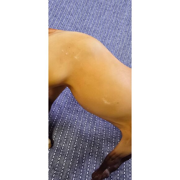 Breyer Sundance Dun Indian Pony - Picture 7 of 9